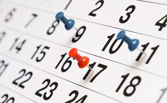 ¿Será feriado este lunes?  Noticias de BrownNoticias de Brown