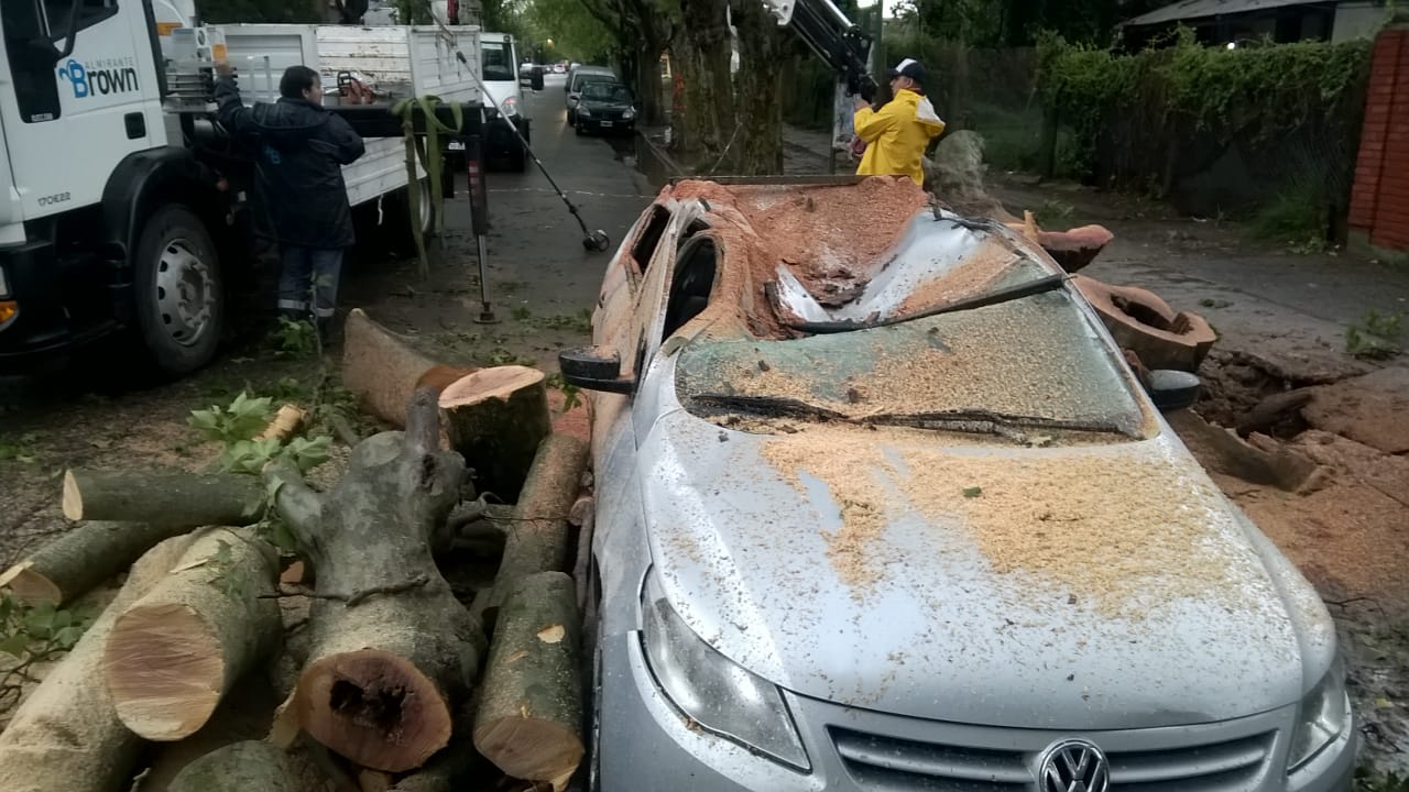 Secuelas de la tormenta: destrozó el natatorio de Independiente de Burzaco  - Noticias de Brown